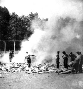 Secret Auschwitz photos, brave inmate.