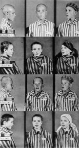 Child Survivors: Glimpse of Hope amid Horror, 1940s.