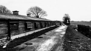 First Auschwitz photo, 1945 liberation.